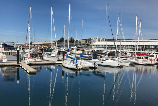 Figures show ferries keeping economy afloat, with business investment flat