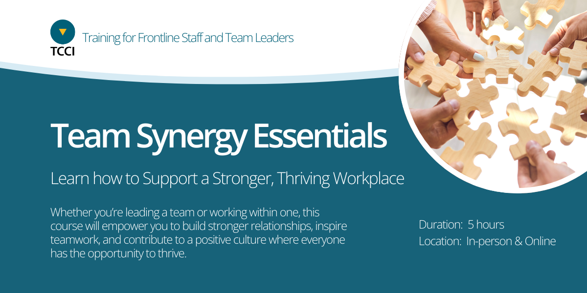 Team Synergy Essentials Training Banner
