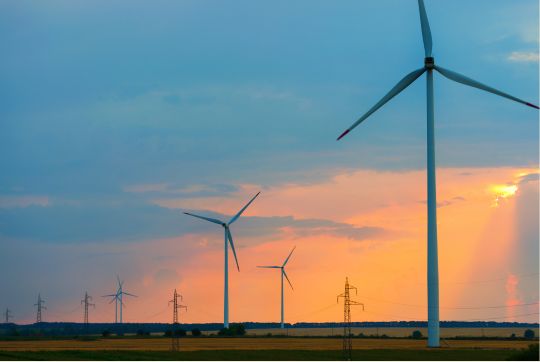 Invest in Bell Bay to unlock more renewables